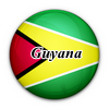 Flag of Guyana