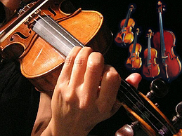 Annuaire de luthier violon France