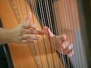 Luthier harpe France